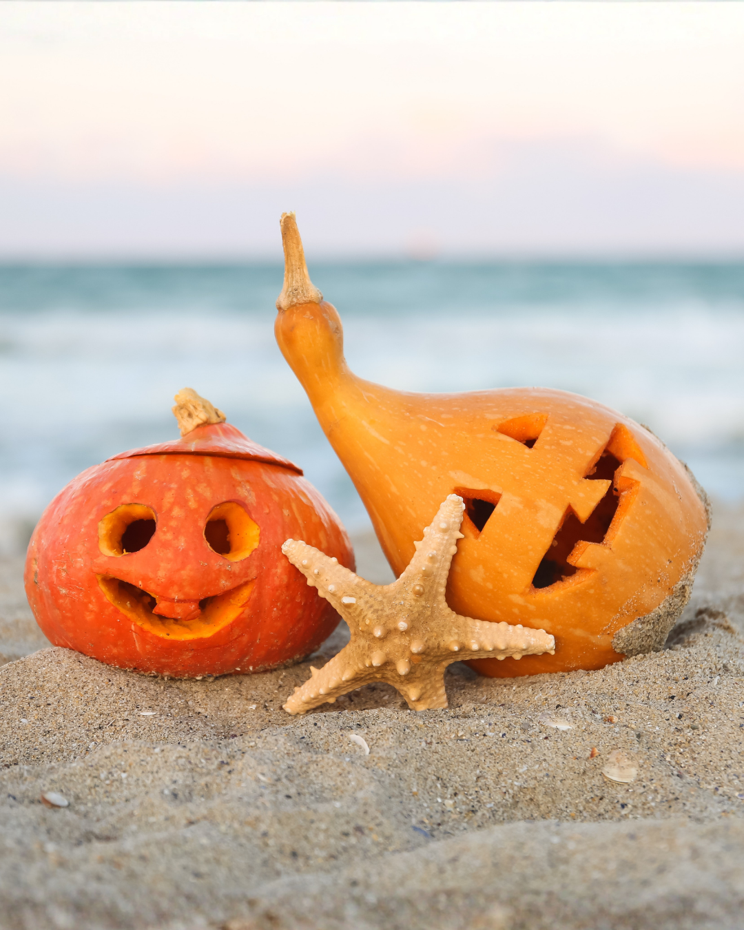 Image for Spooky Season, Sweet Savings at the Beach